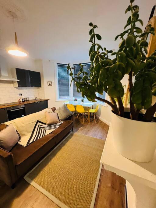 بلاكبول Beautiful Space Stylish And Modern! Perfect Location المظهر الخارجي الصورة